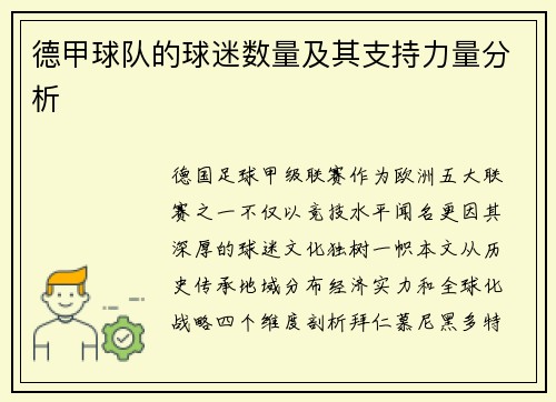 德甲球队的球迷数量及其支持力量分析