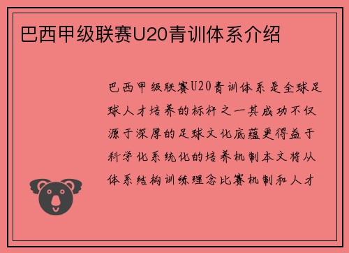 巴西甲级联赛U20青训体系介绍